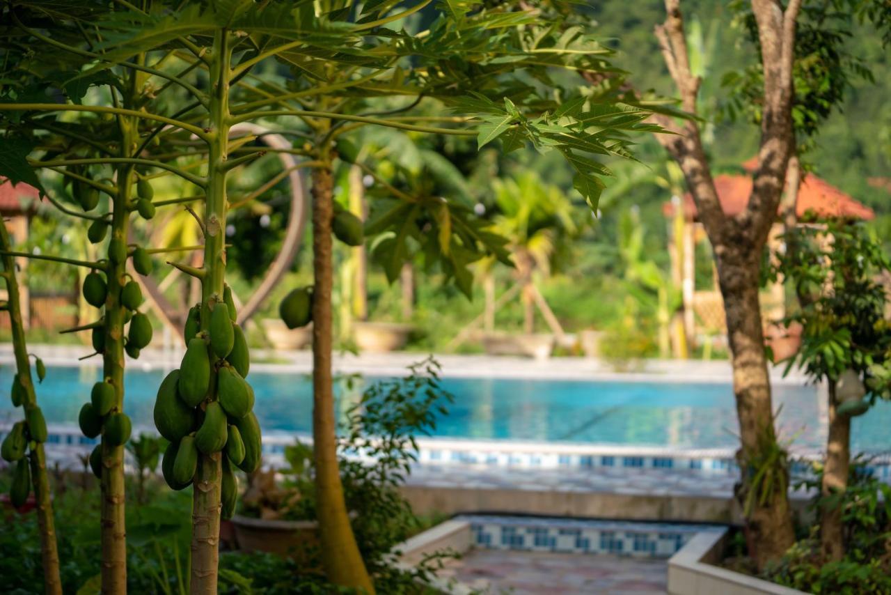 Tan Dinh Farmstay Ninh Bình Extérieur photo