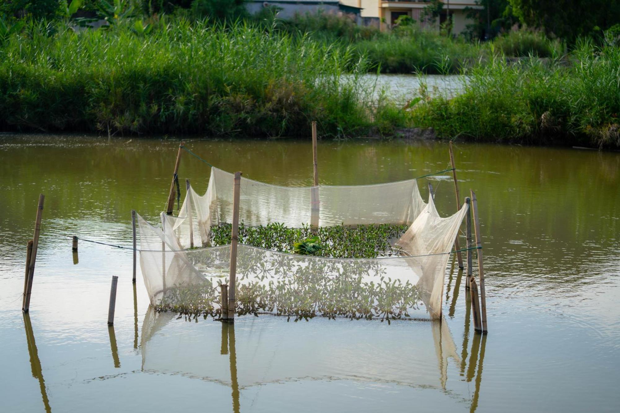 Tan Dinh Farmstay Ninh Bình Extérieur photo